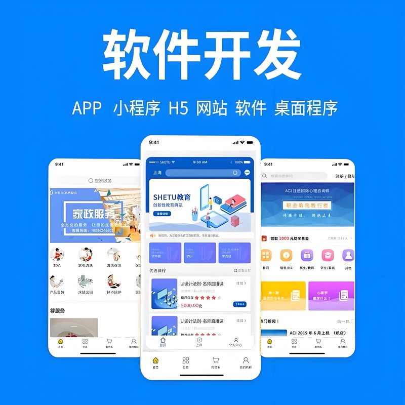 软件定制开发：解锁企业成长的新引擎
